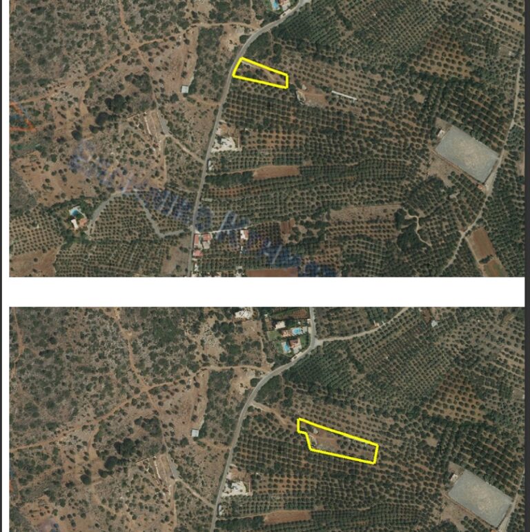 Στιγμιότυπο_29-10-2025_15264_